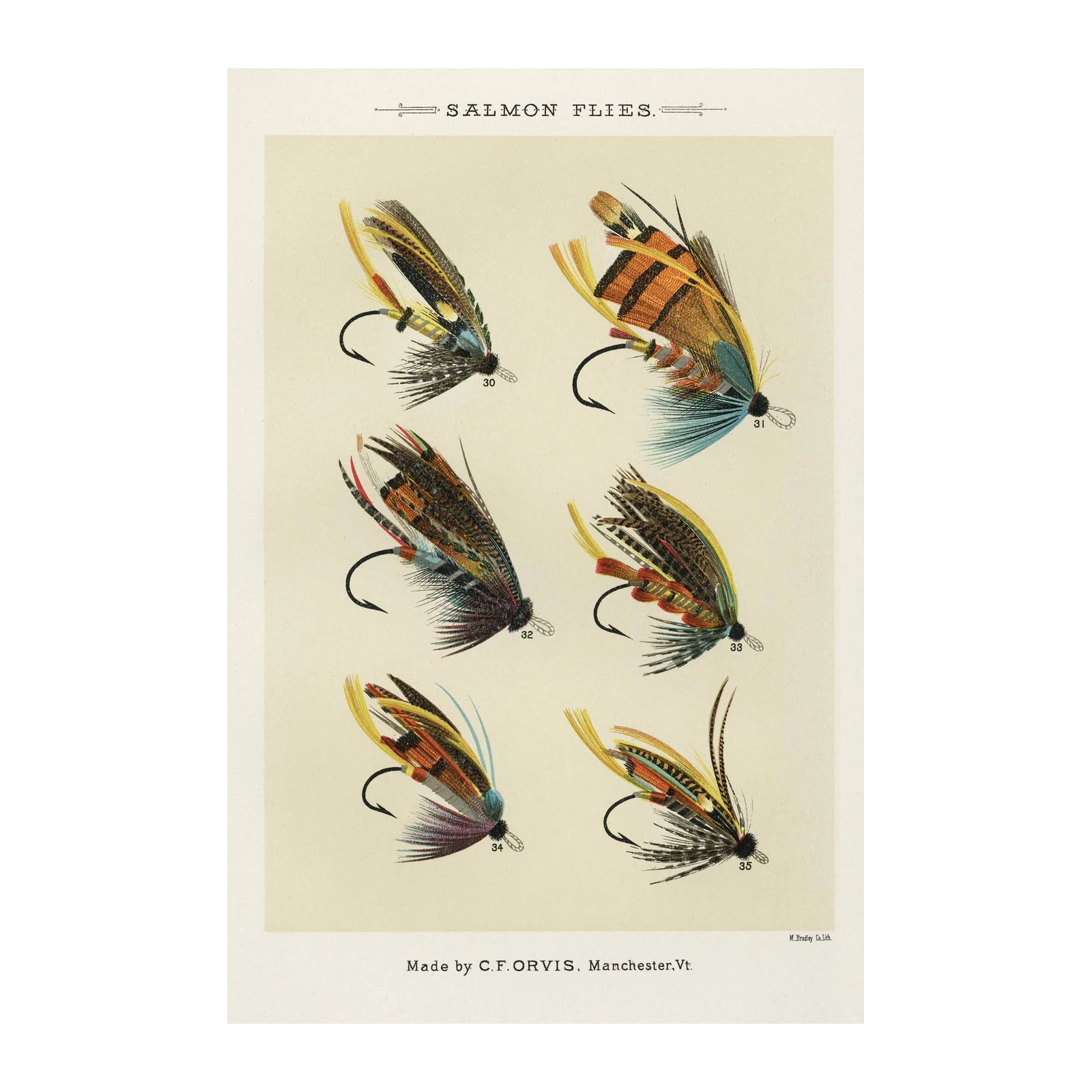 Vintage Salmon Flies Art | Fly Fishing Wall Art