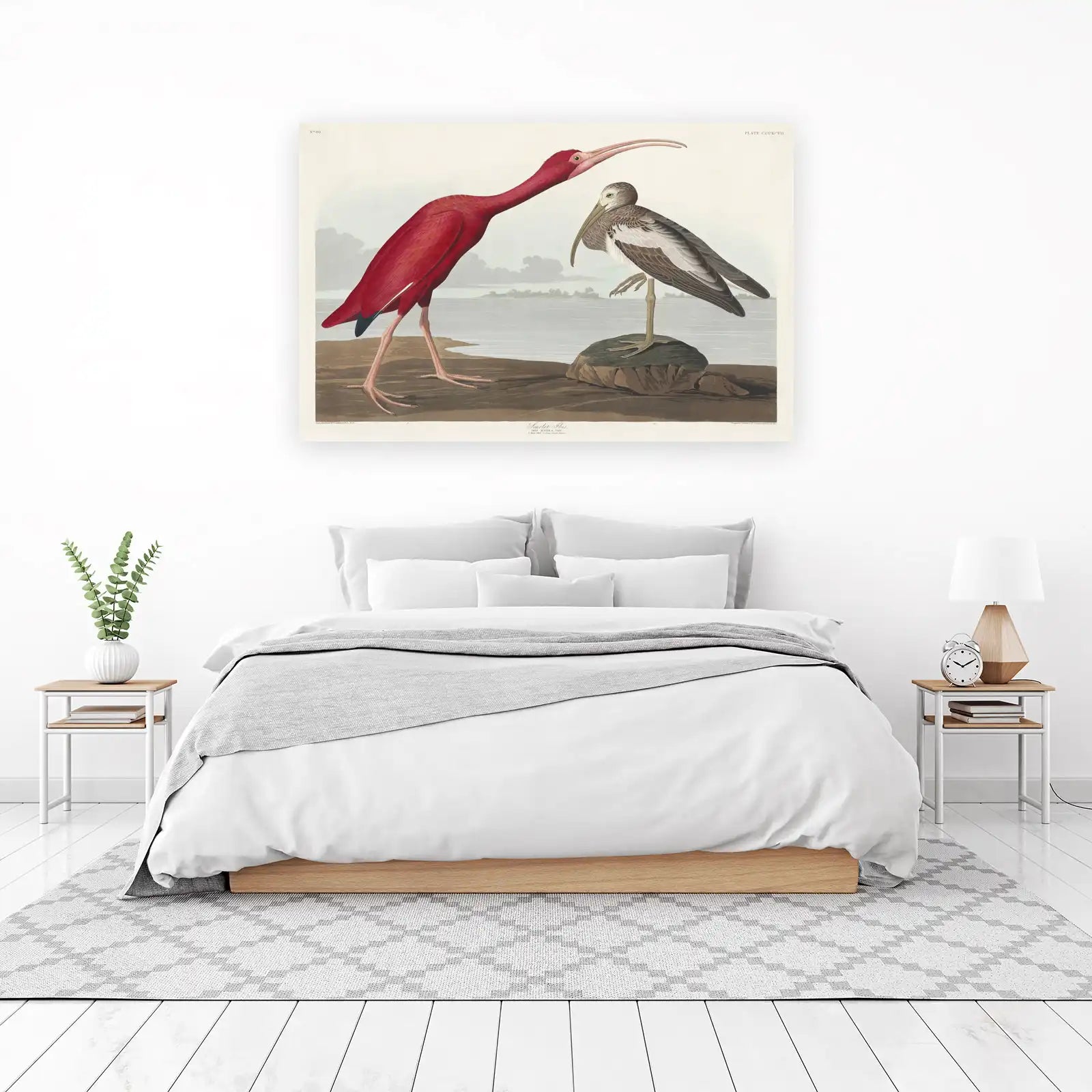 Scarlet Ibis & White Ibis Bird Art Wall Art