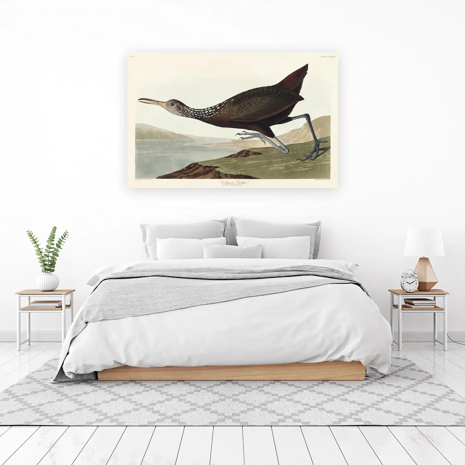 Elegant Limpkin Bird Art Wall Art - Nature Decor