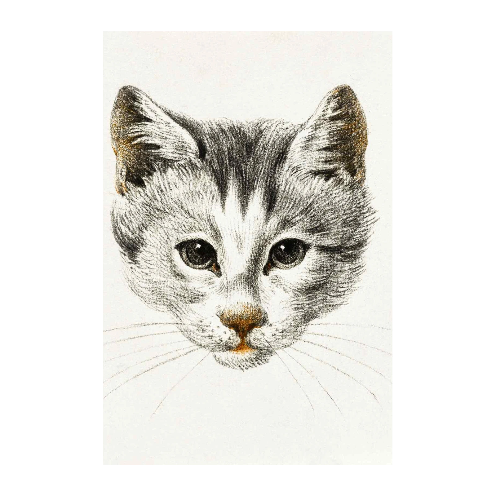 Charming Kitten Portrait Wall Art