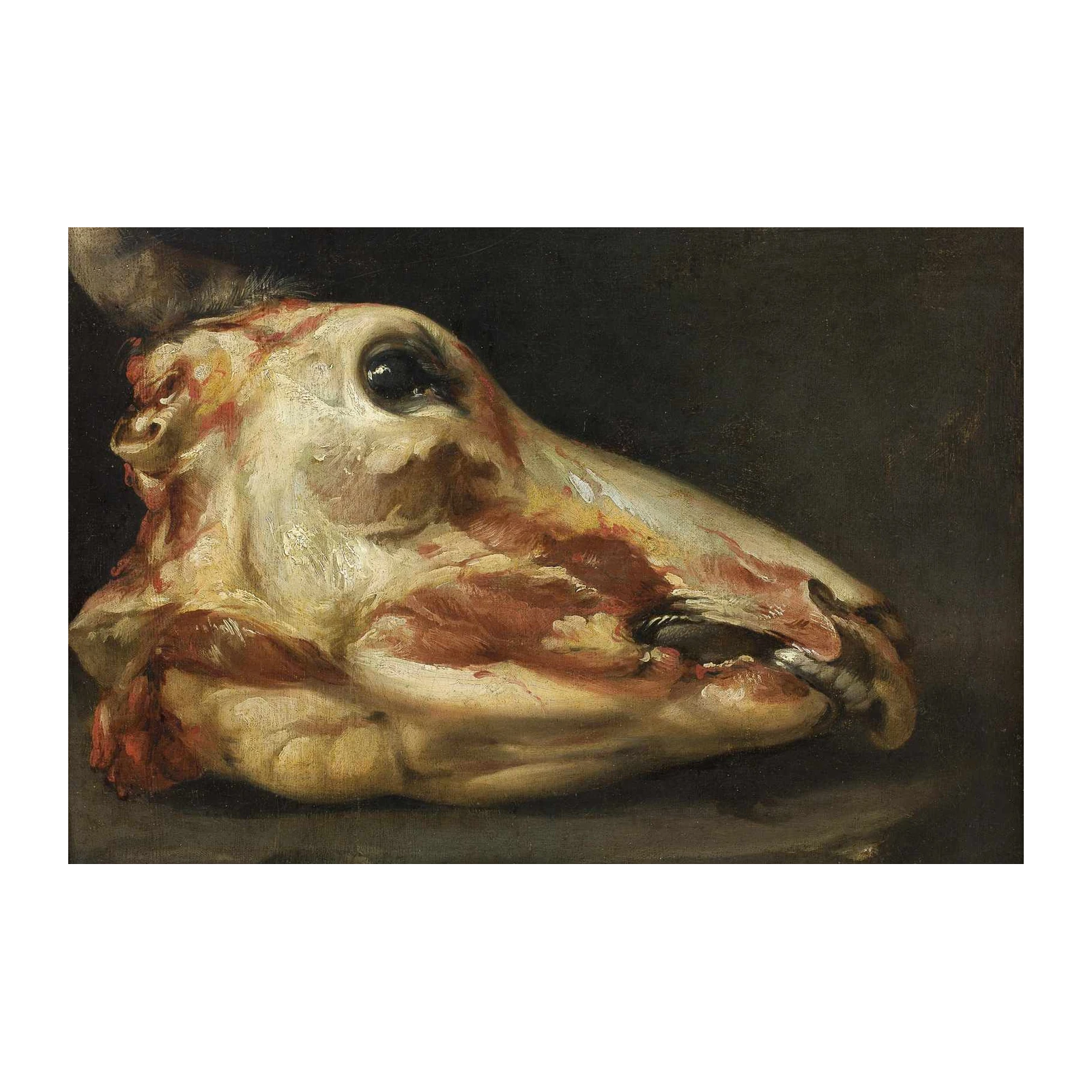 Striking Bull's Head Still Life Wall Art