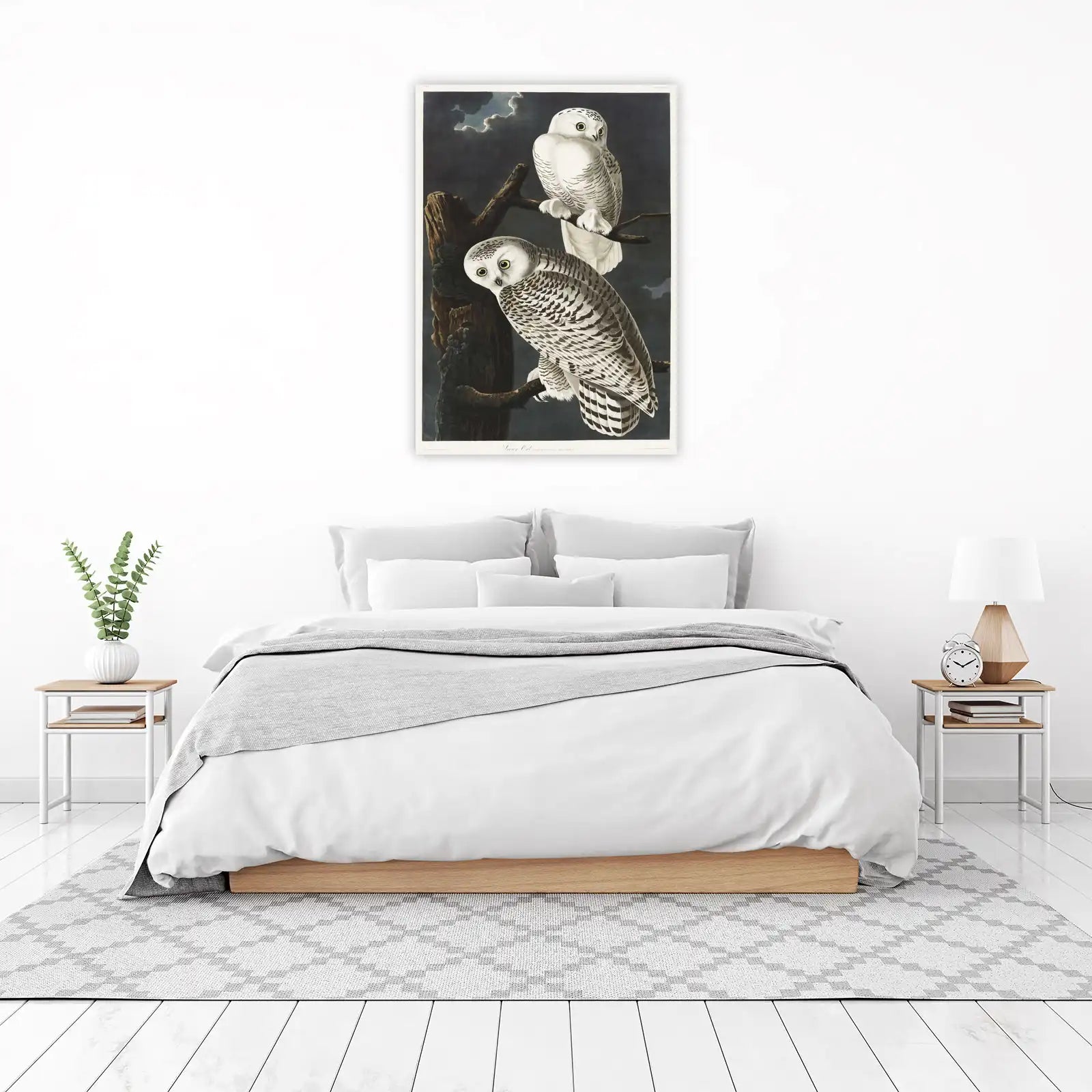 Audubon Snowy Owl Majestic Wall Art Wall Art