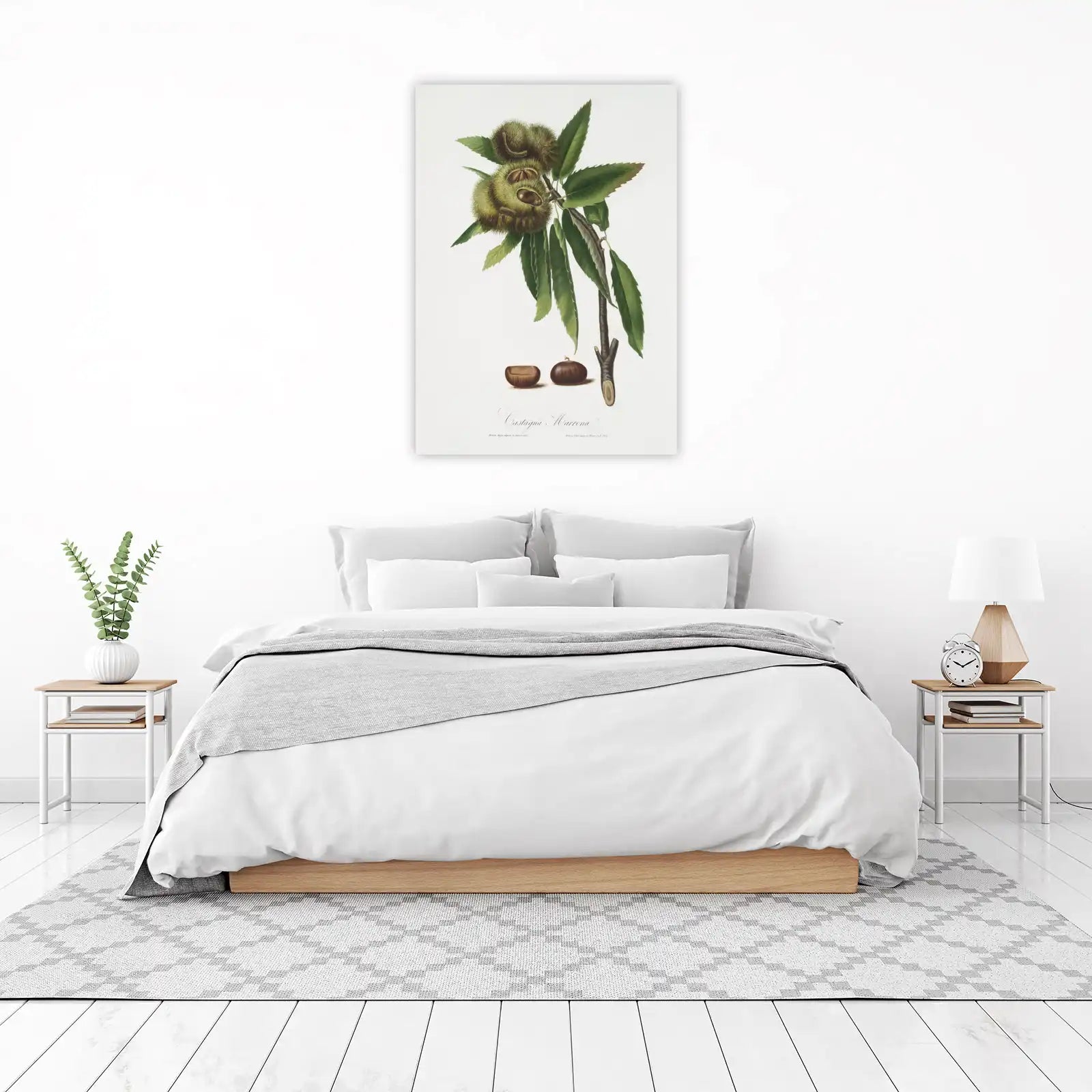 Vintage Chestnut Botanical Art Wall Art