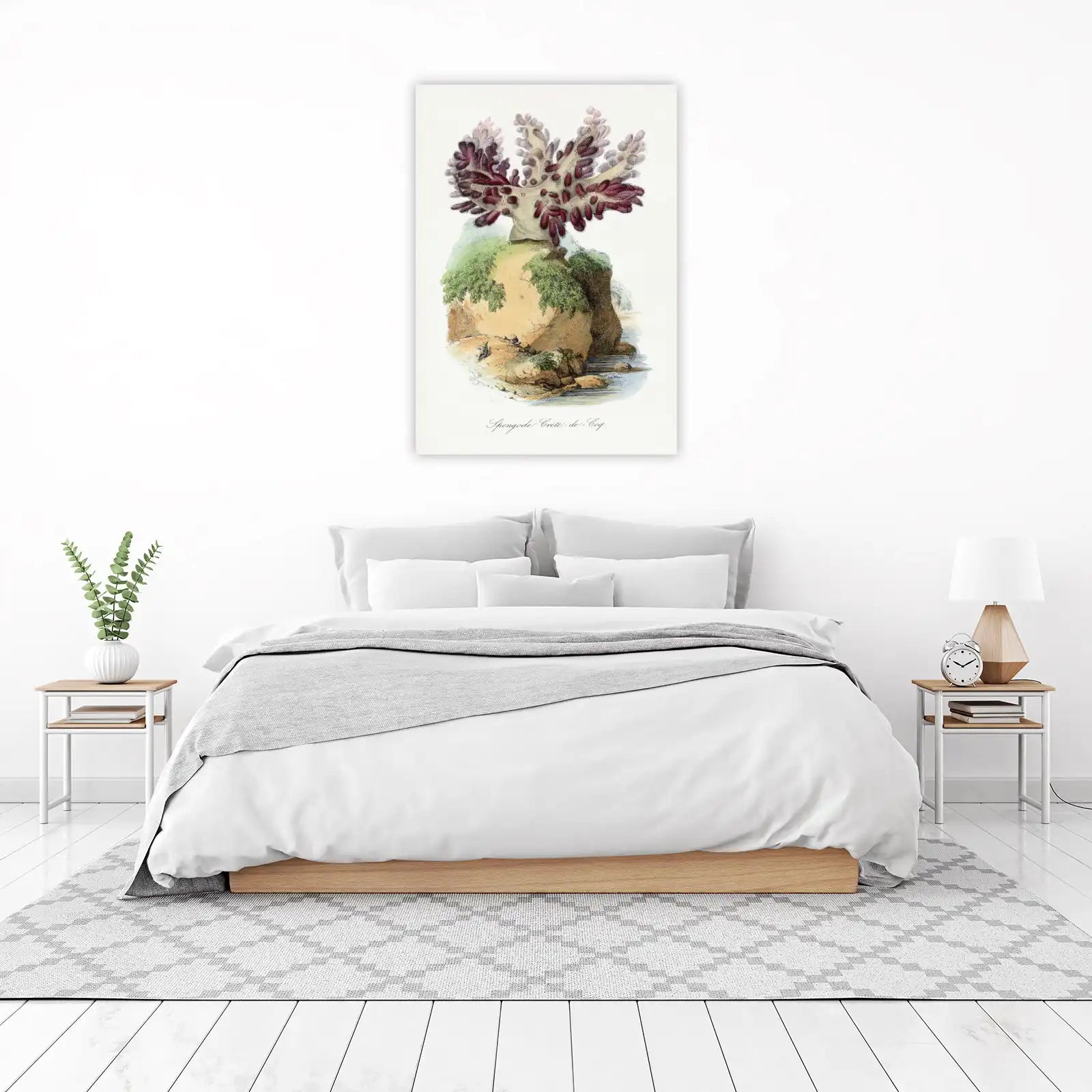 Vintage Spongode Crete Coral Wall Art