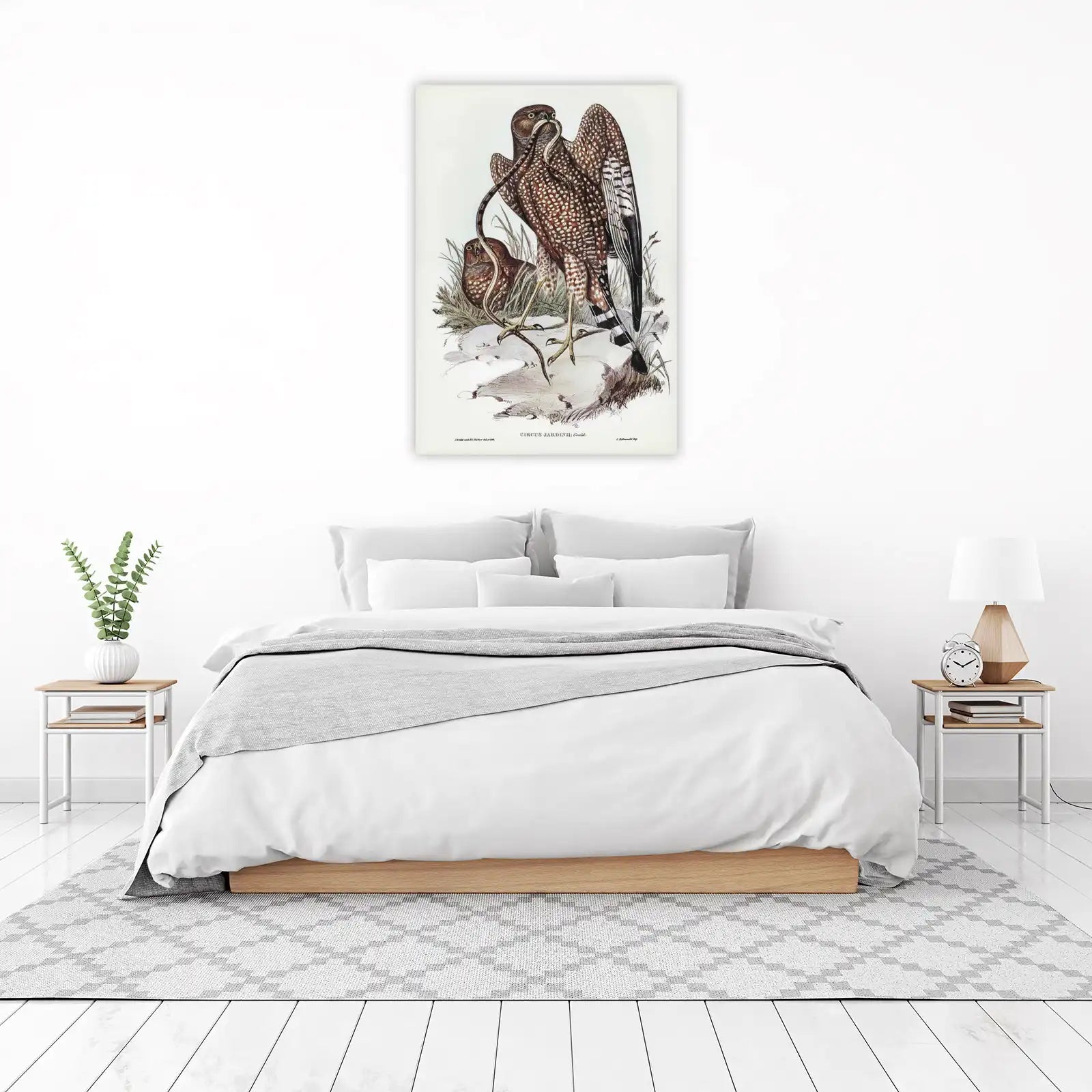 Majestic Hawk & Snake Vintage Bird Art Wall Art