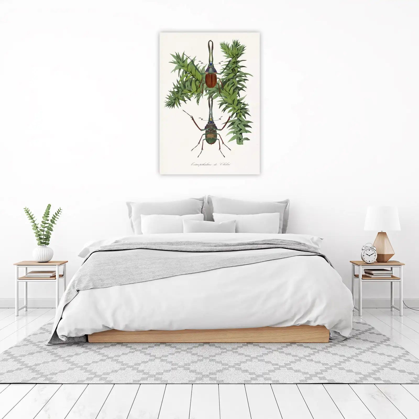 Vintage Insect Botanical Art Wall Art