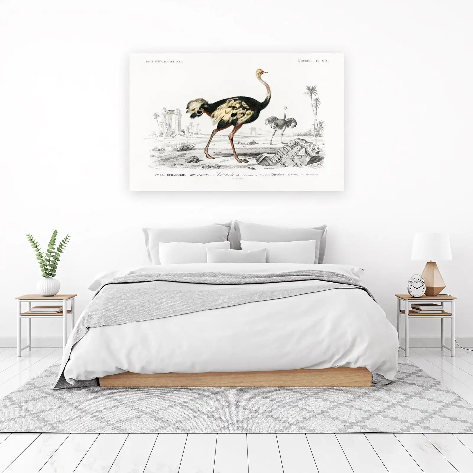 Vintage Ostrich Landscape Wall Art