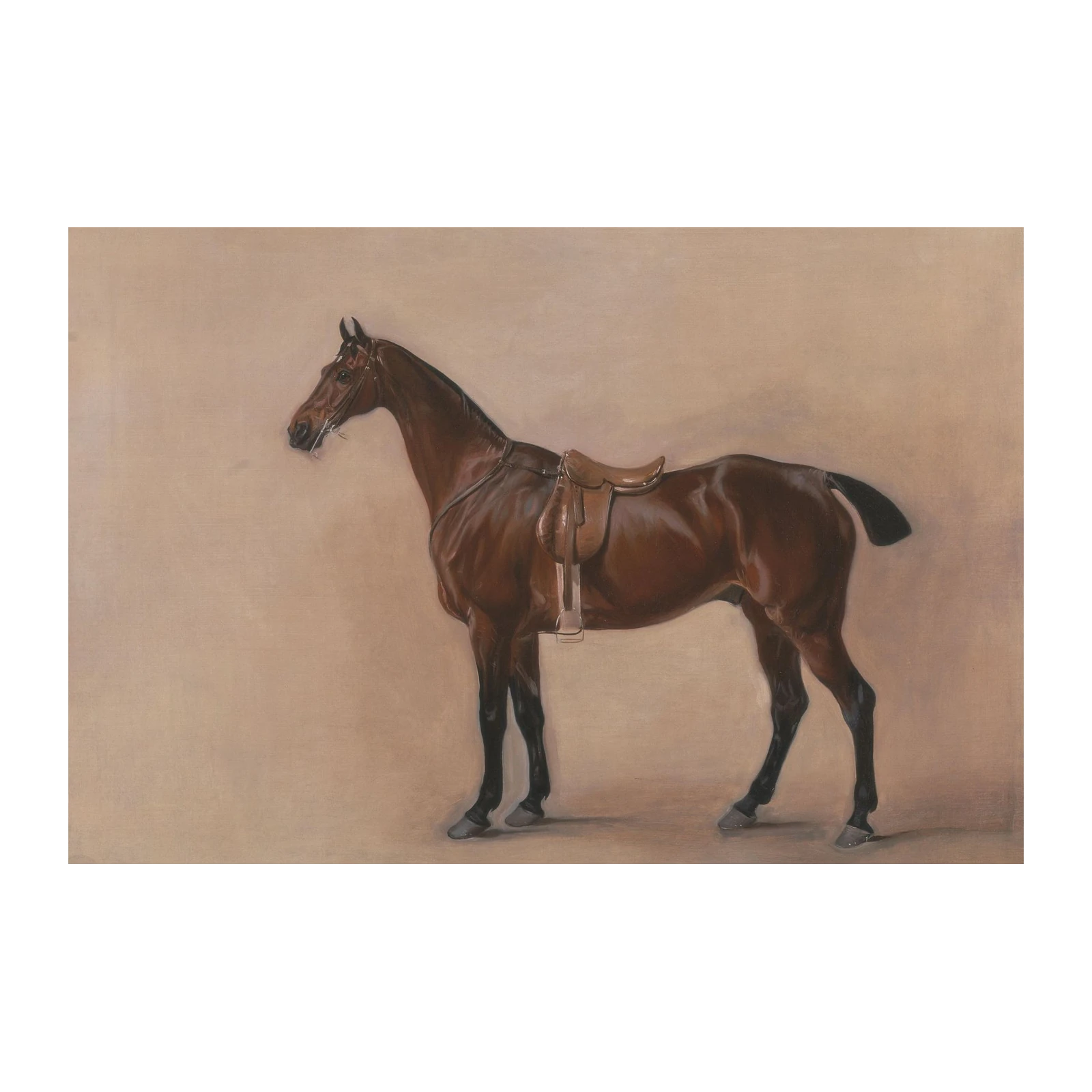 Elegant Chestnut Horse Polo Saddle Wall Art