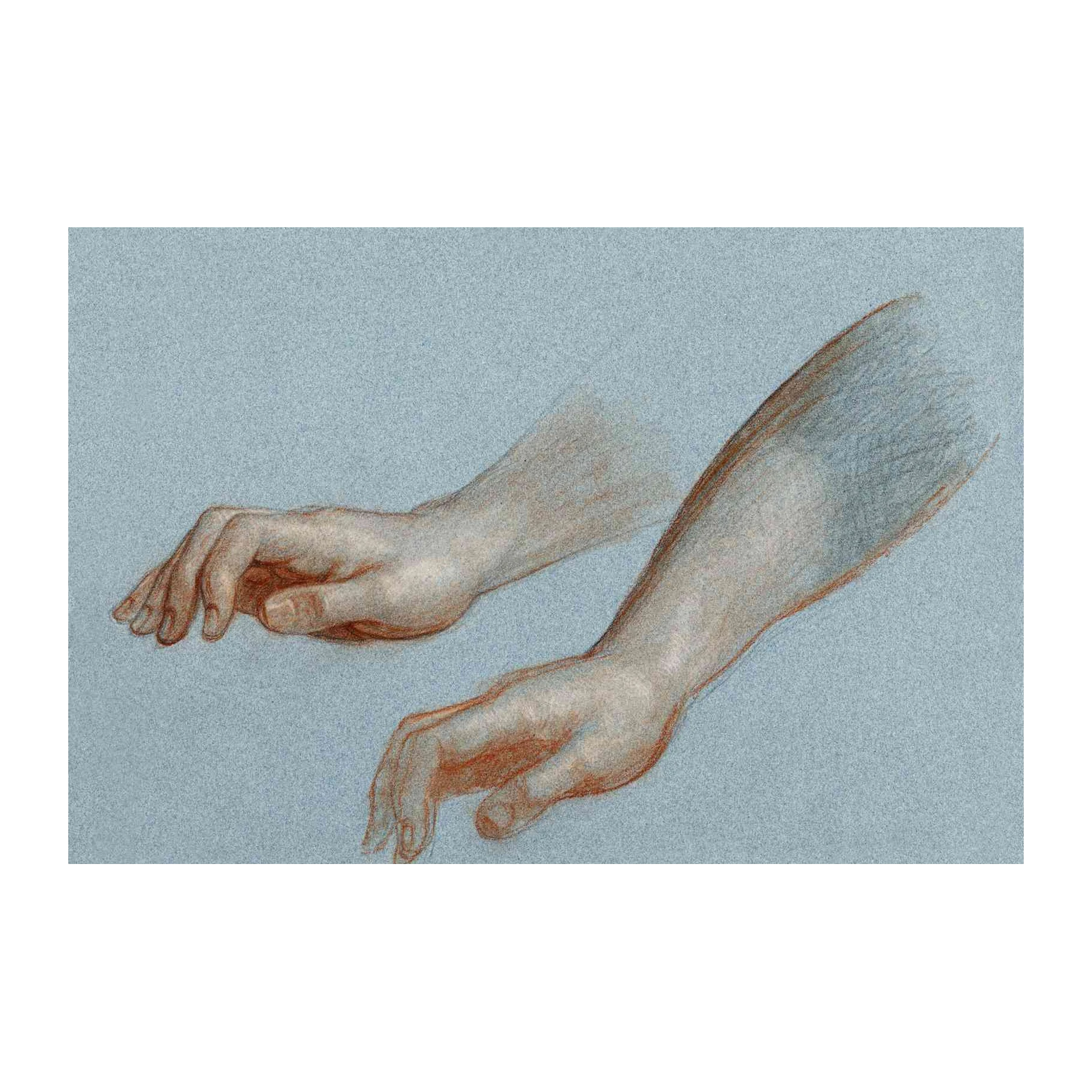 Elegant Study of Hands Wall Art | Fine Art Decor