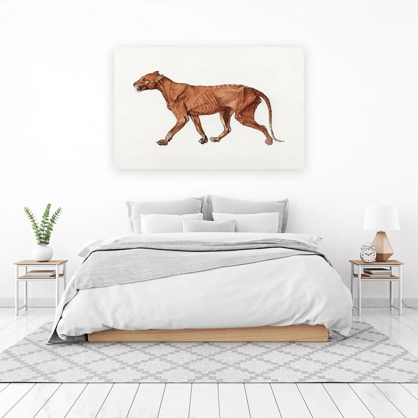 Vintage Thylacine Anatomy Wall Art