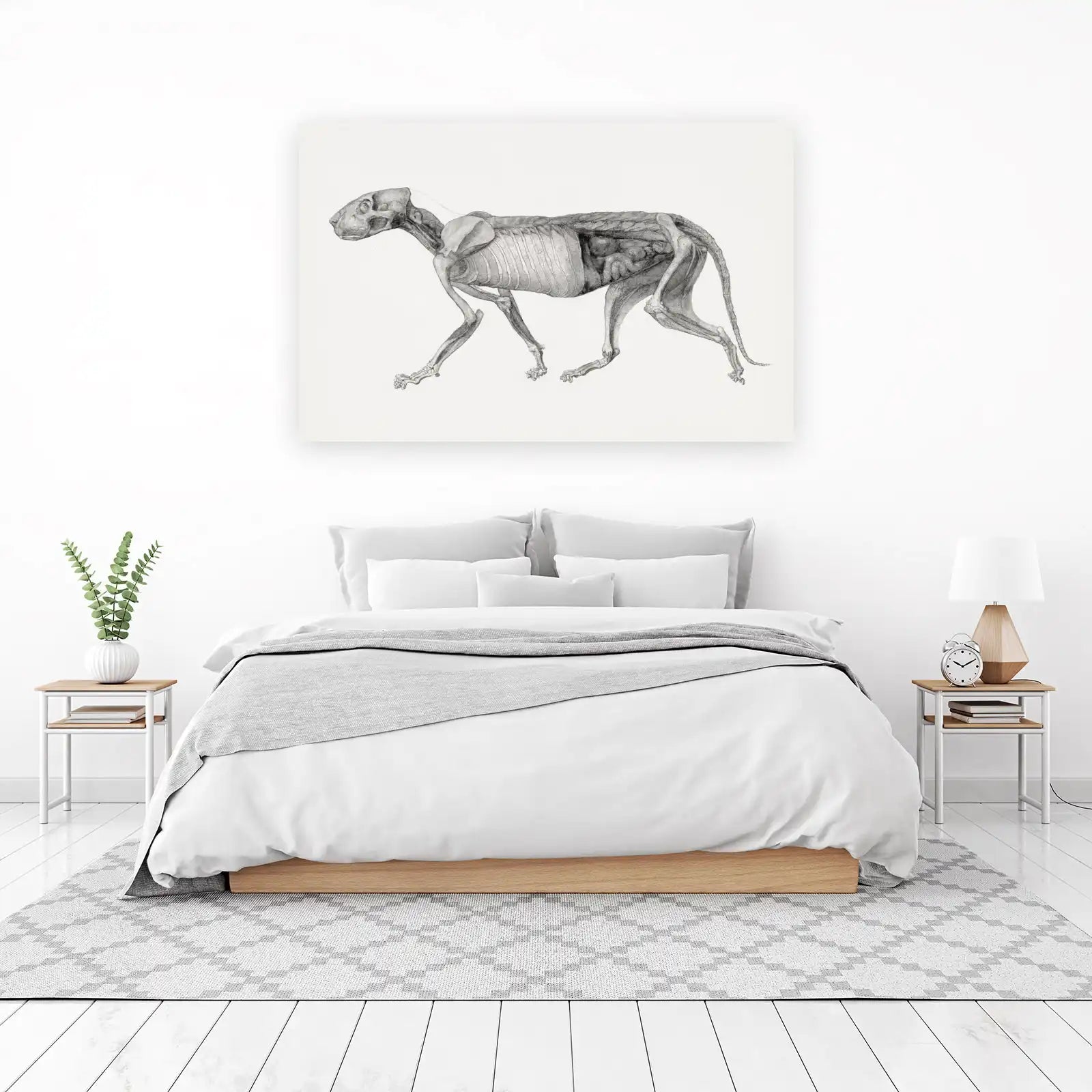 Anatomical Dog Skeleton Drawing Wall Art