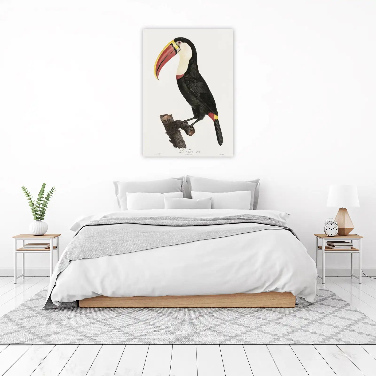 Vibrant Toucan Vintage Botanical Wall Art Wall Art