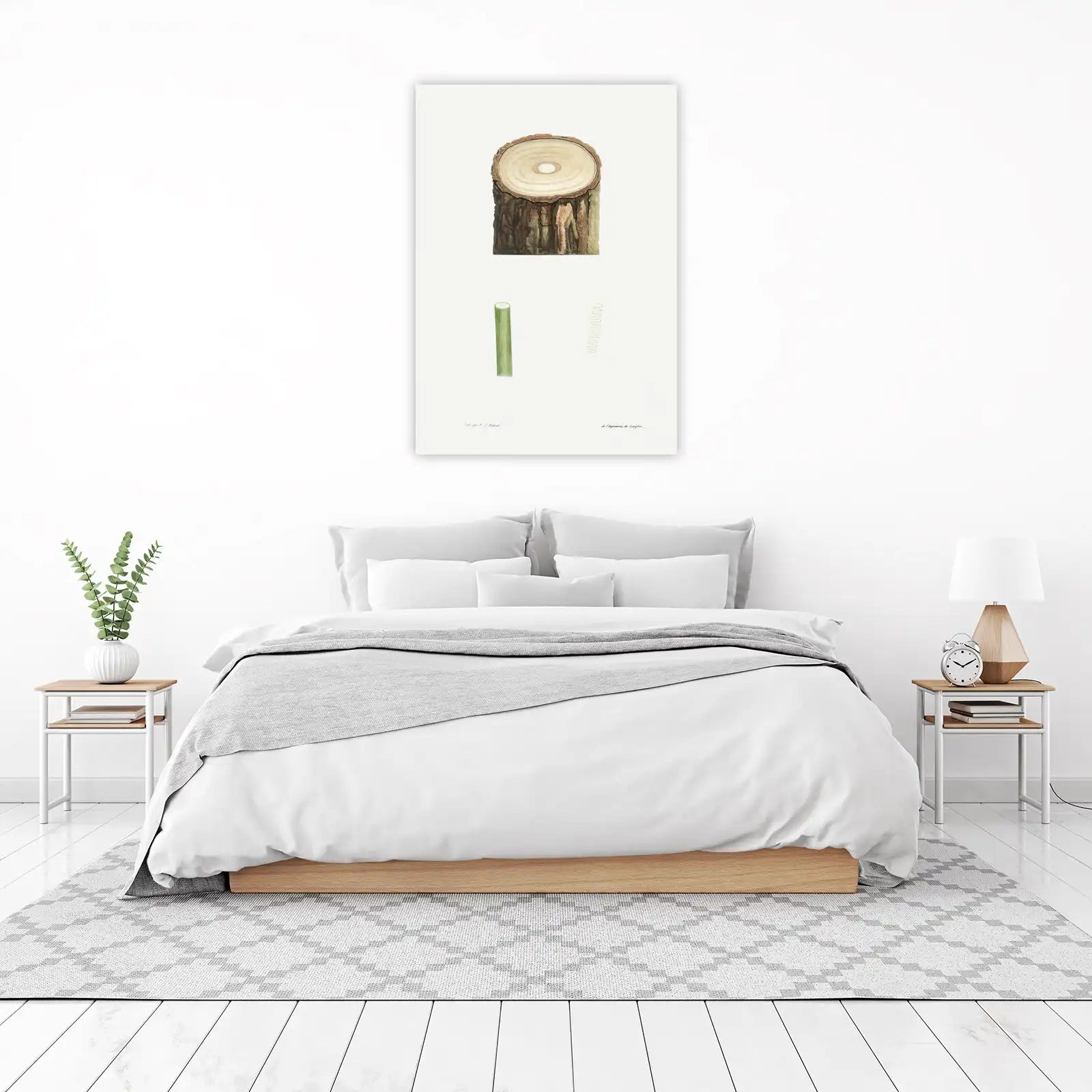 Vintage Tree Trunk Botanical Art Wall Art