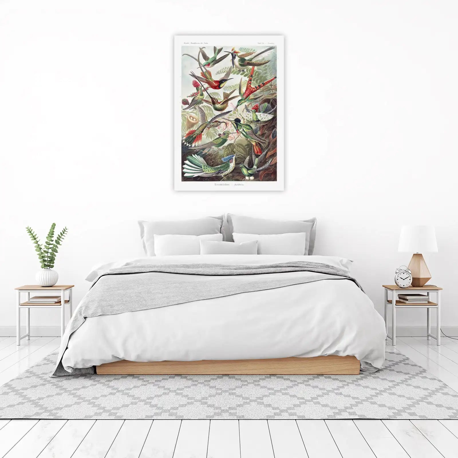 Vintage Hummingbird Art Wall Art - Nature Wall Decor