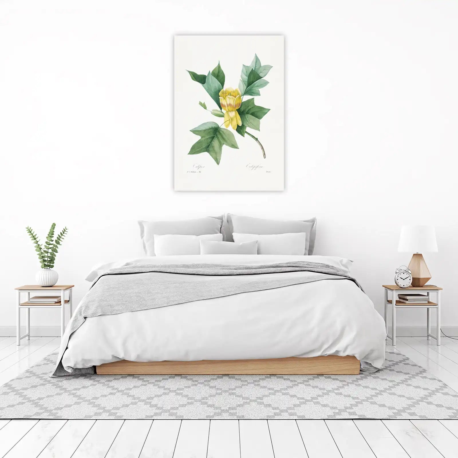 Vintage Tulip Poplar Botanical Art Wall Art