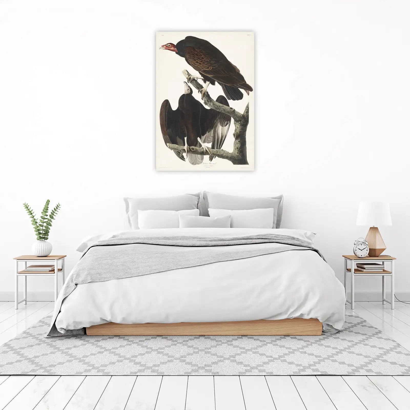 Vintage Turkey Buzzard Audubon Wall Art