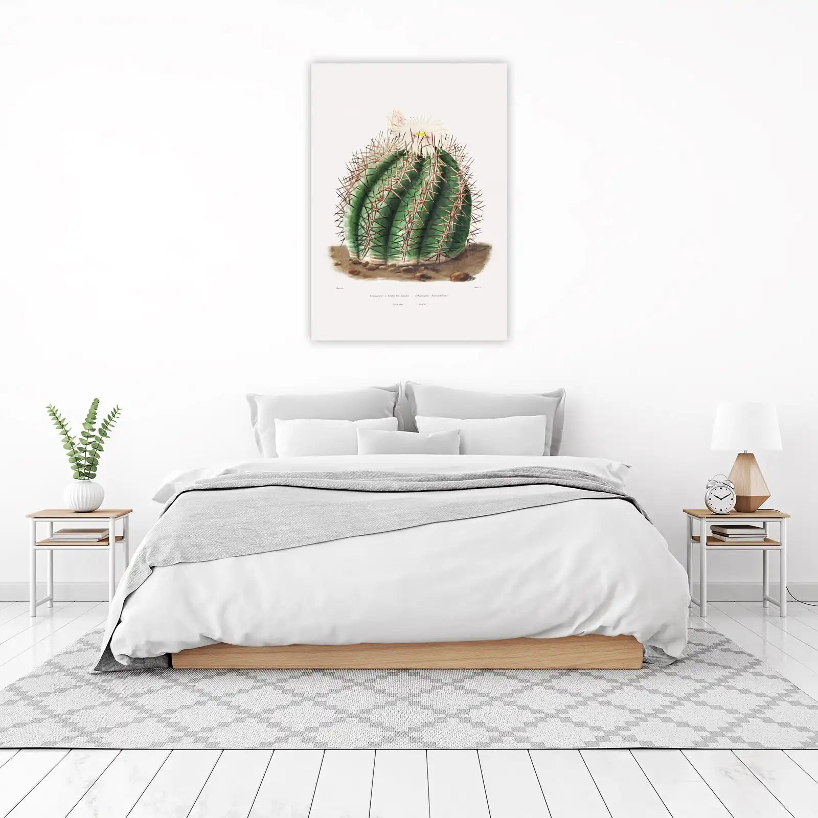 Vintage Cactus Botanical Art Wall Art