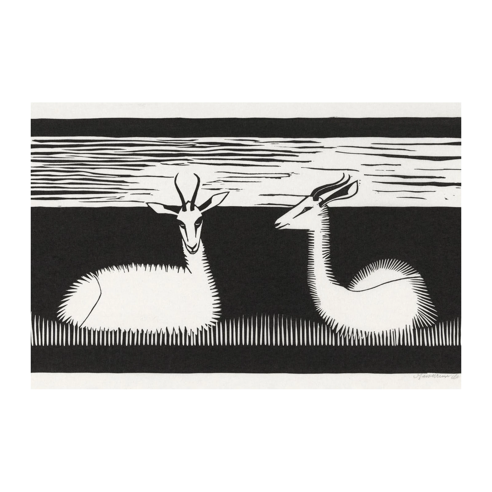 Elegant Antelope Duo Black & White Wall Art