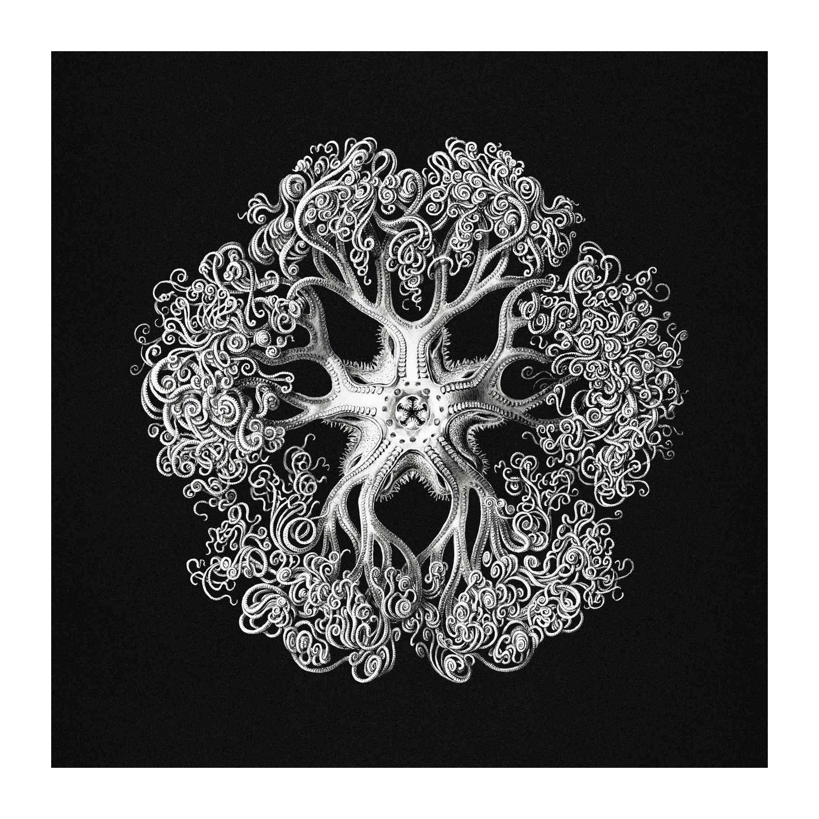 Intricate Octopus Tentacle Mandala Wall Art