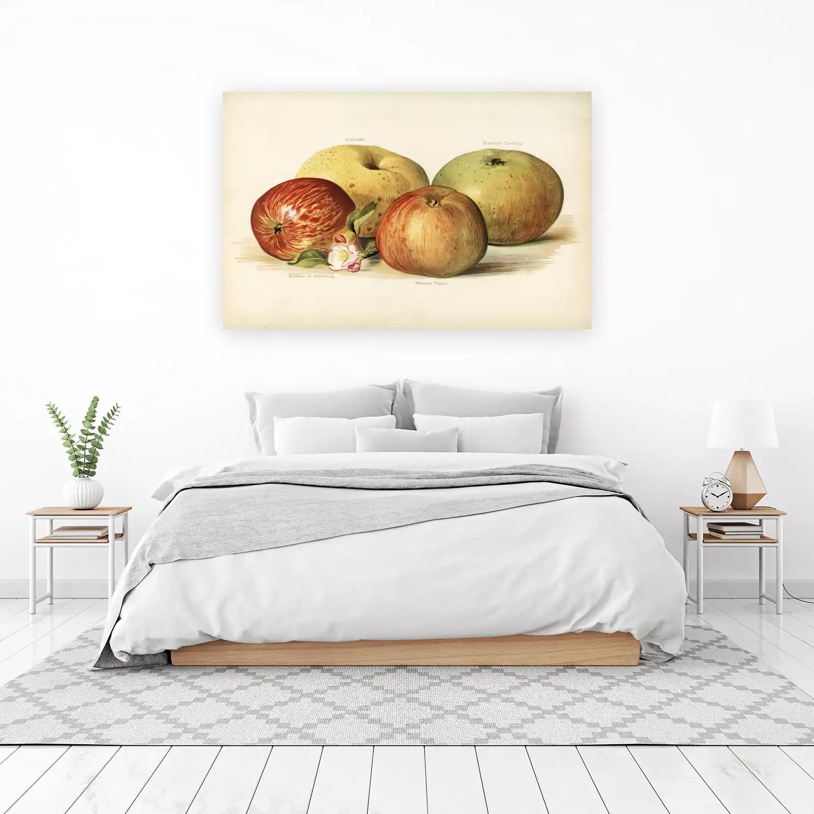 Vintage Apple Study Wall Art