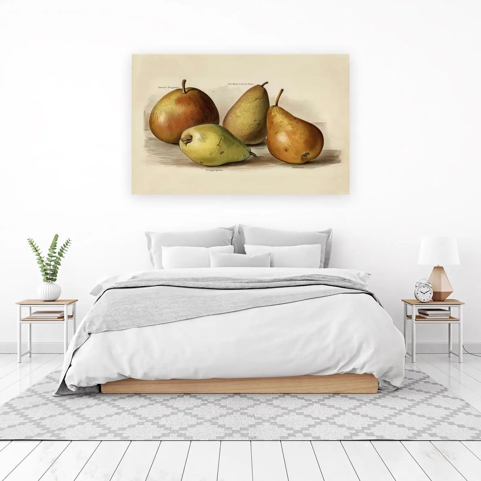 Vintage Pear Varieties Wall Art - Botanical Art