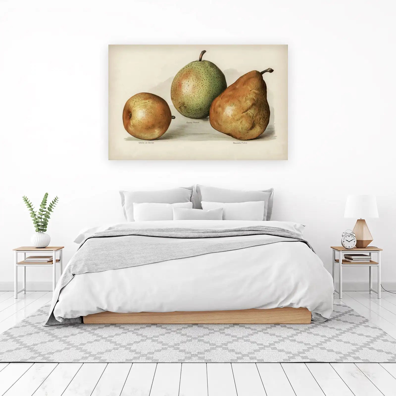 Vintage Pear Botanical Art Wall Art