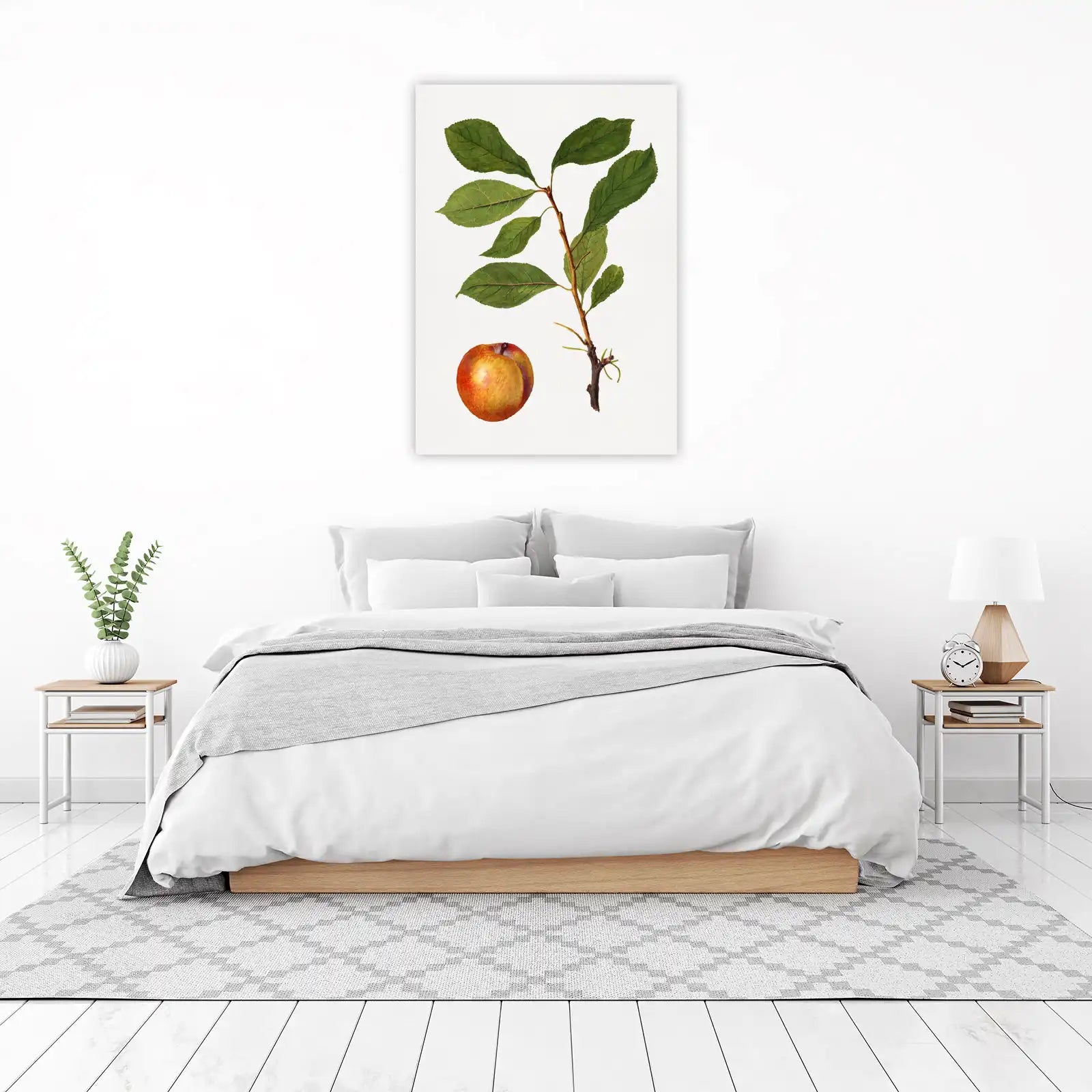 Vintage Botanical Apple & Branch Wall Art