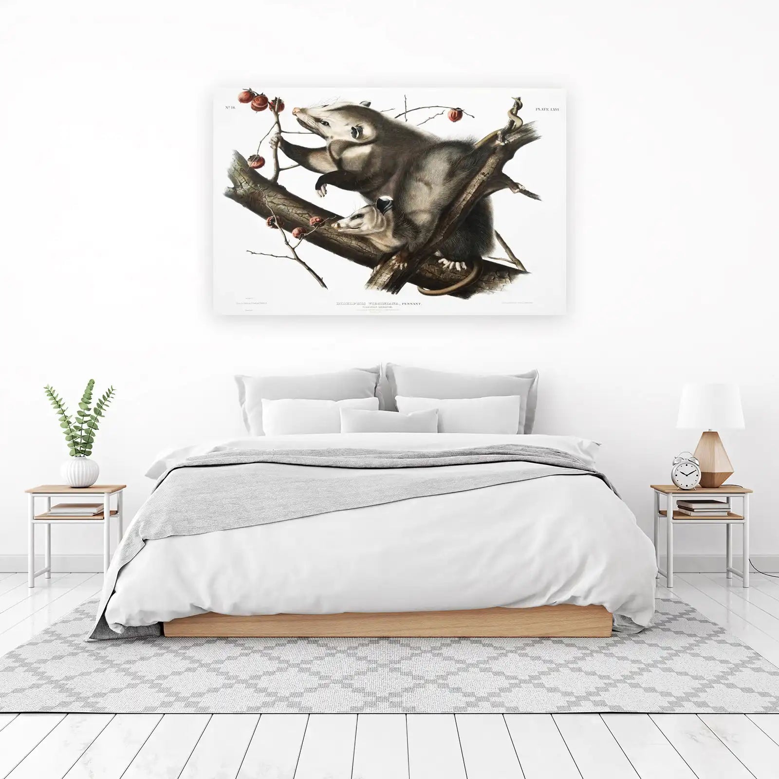 Vintage Opossum & Snake Art Wall Art