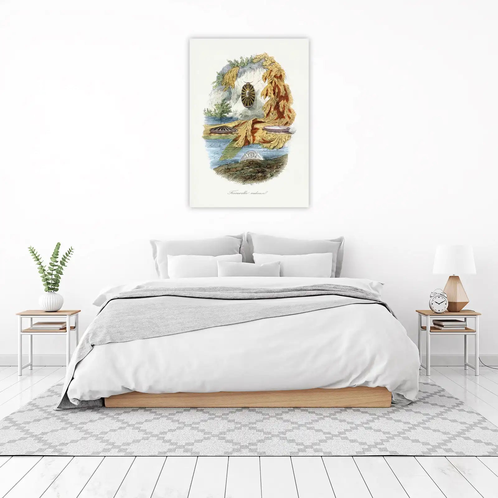 Vintage Marine Life Shells Wall Art