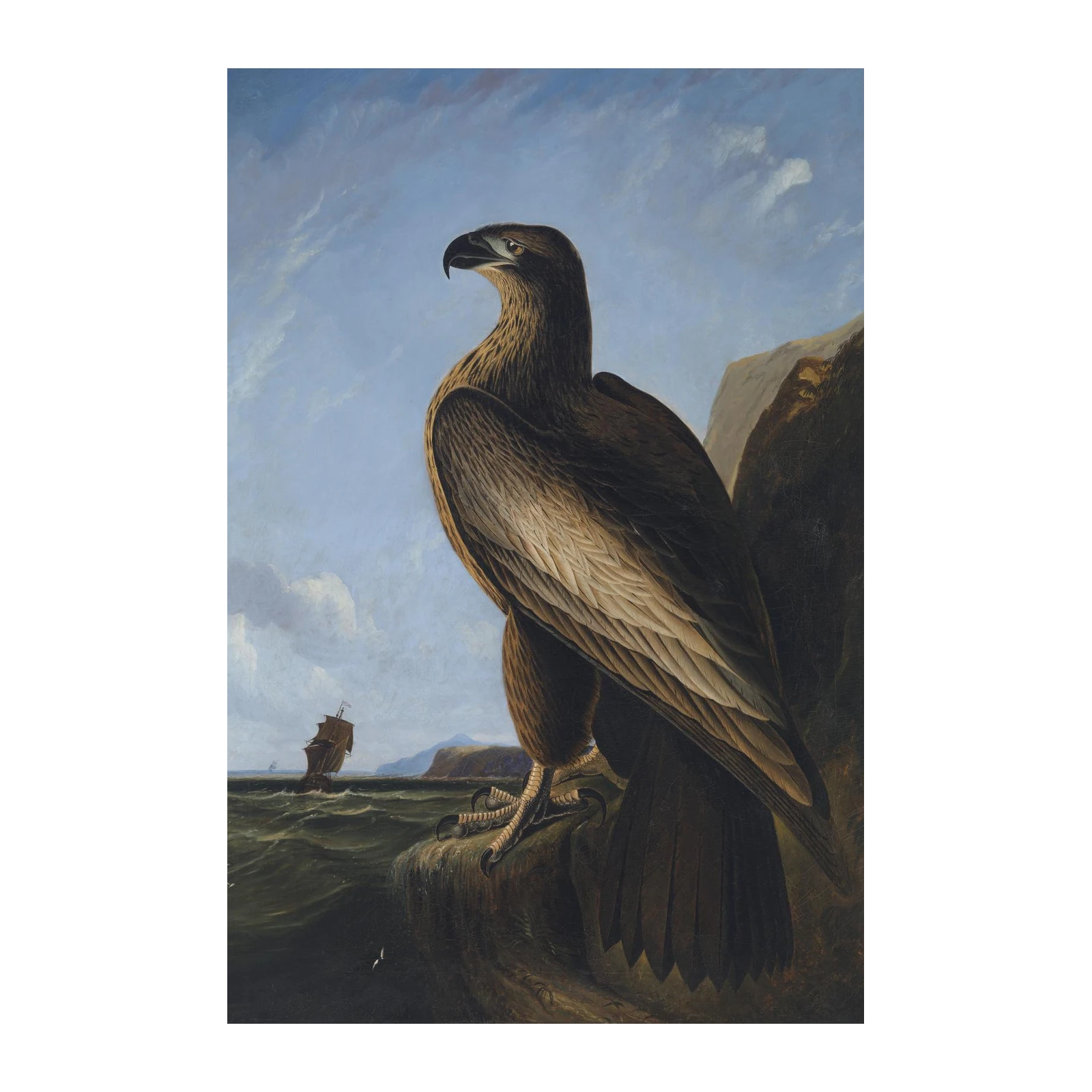 Majestic Eagle Coastal Scene Wall Art