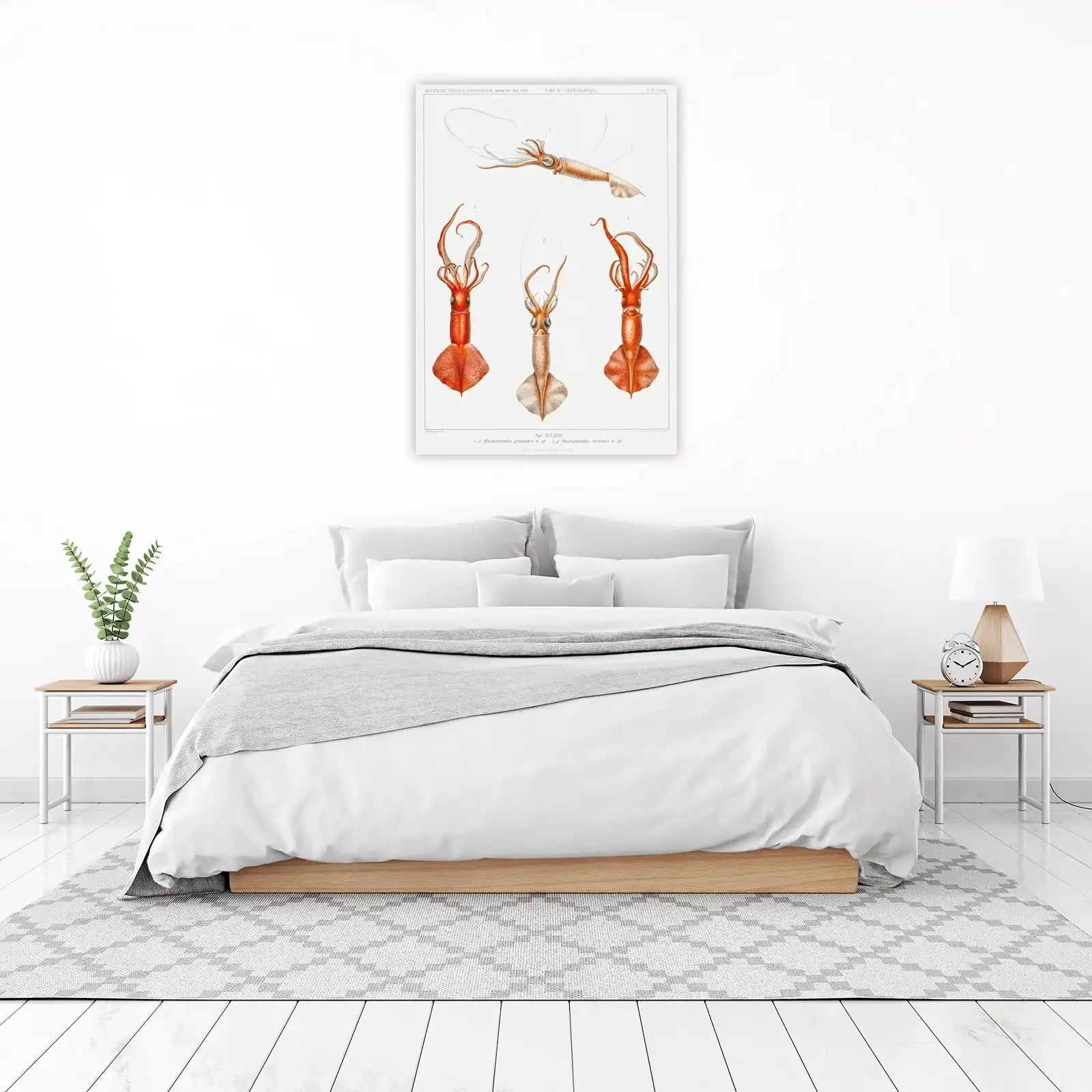 Vintage Squid Marine Biology Wall Art Wall Art
