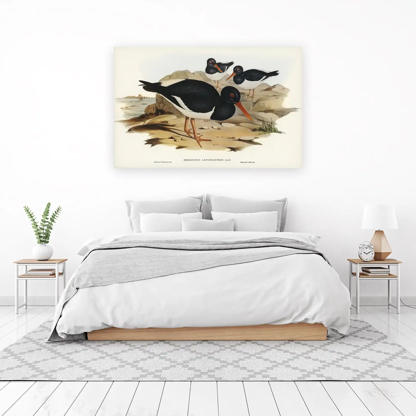 Vintage Oystercatchers Coastal Art Wall Art