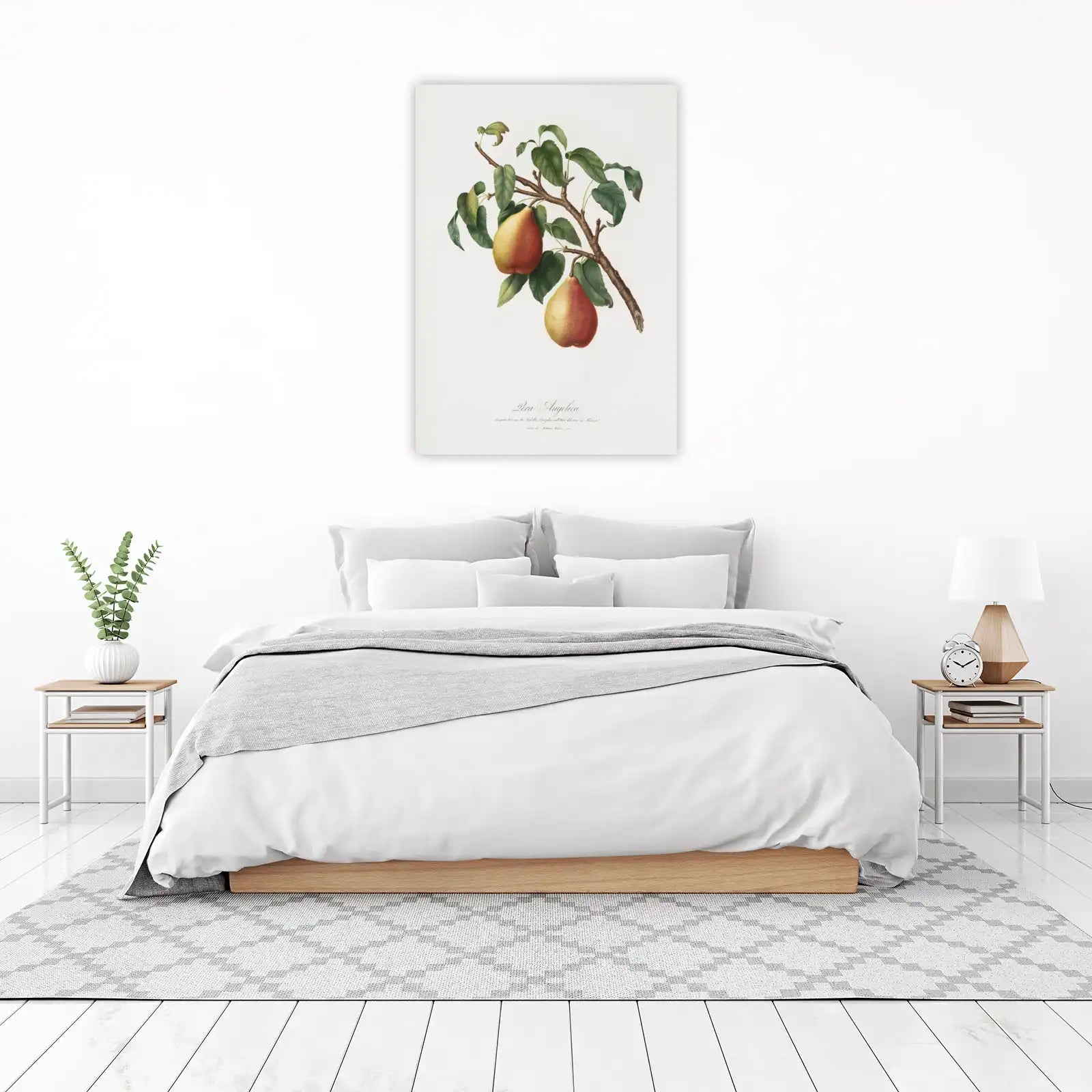 Vintage Pear Botanical Art Wall Art