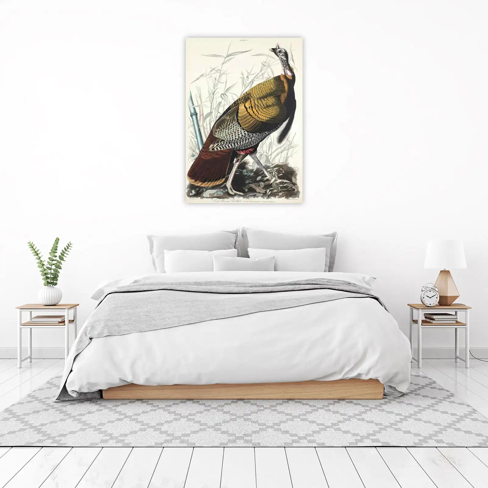 Audubon Wild Turkey Wall Art | Vintage Bird Art