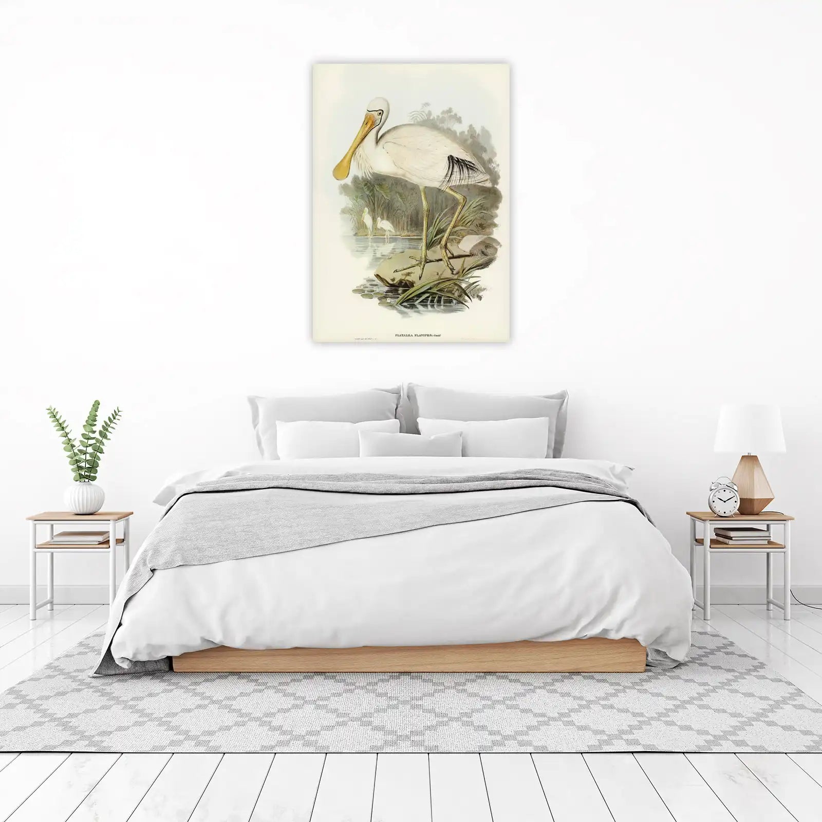 Elegant Spoonbill Bird Nature Vintage Wall Art