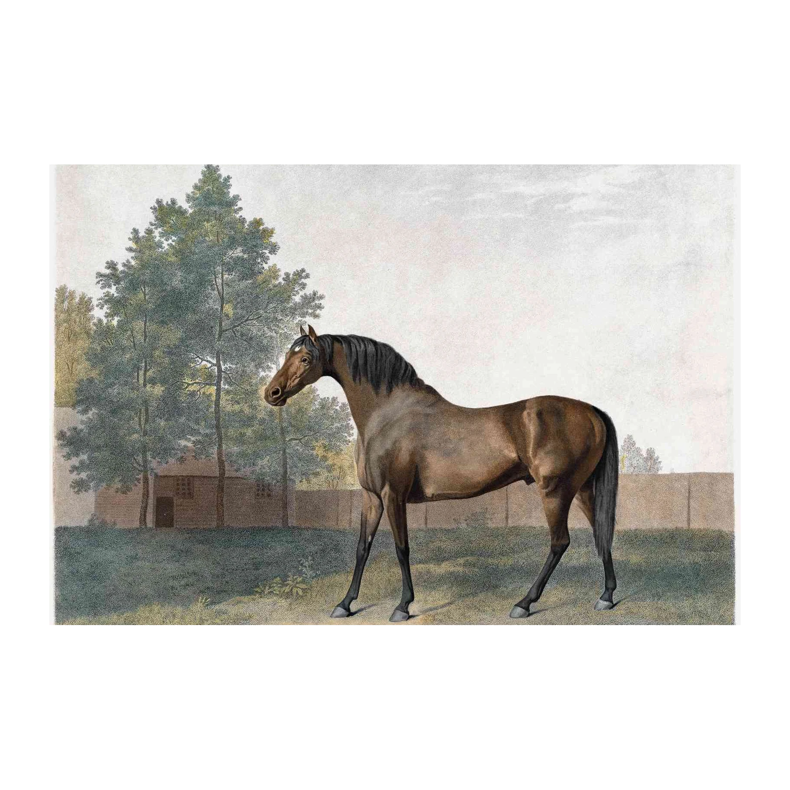 Majestic Horse 'Anvil' Vintage Equestrian Wall Art