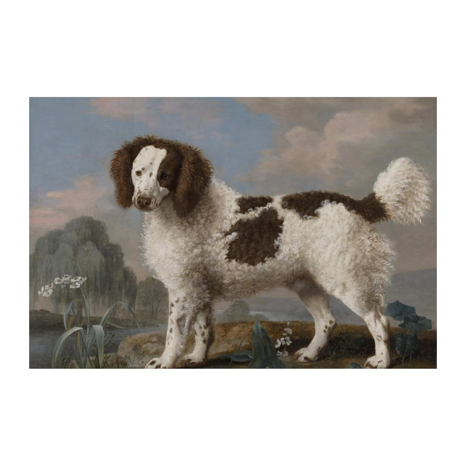 Elegant Poodle Portrait Landscape Wall Art