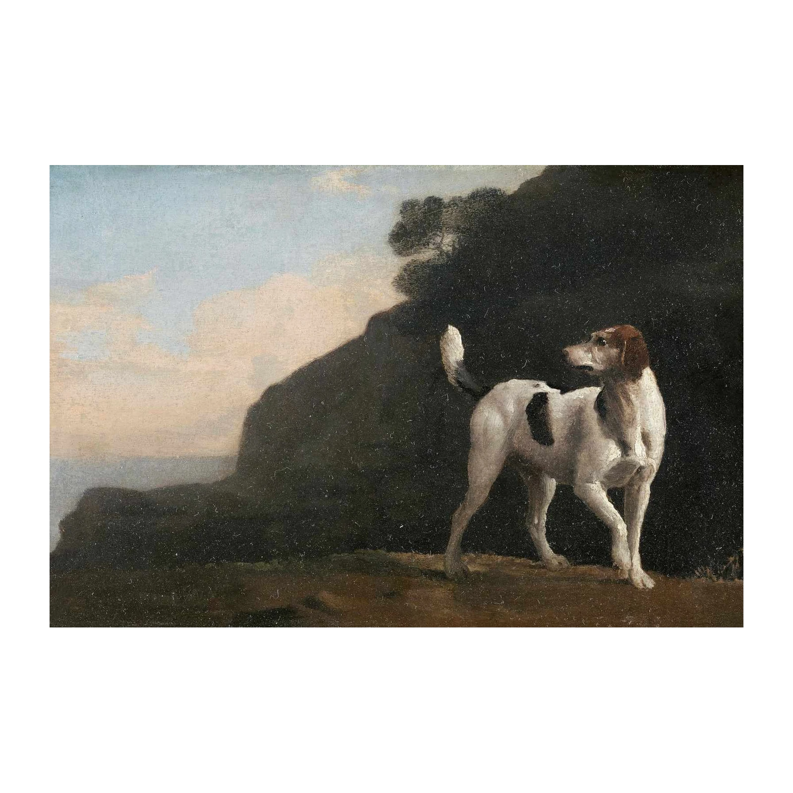 Loyal Hound by the Sea Wall Art