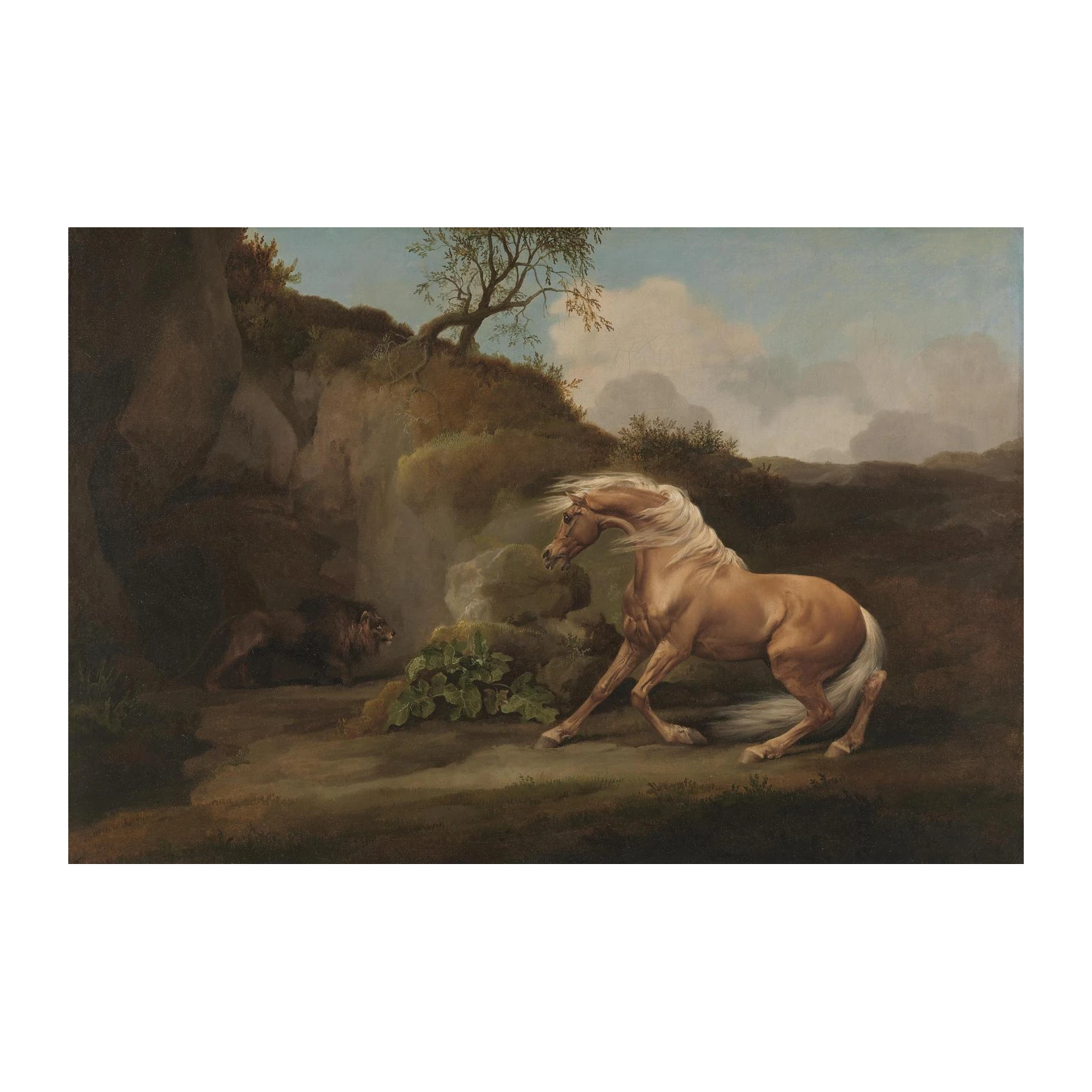 Majestic Horse vs Lion Confrontation Wall Art