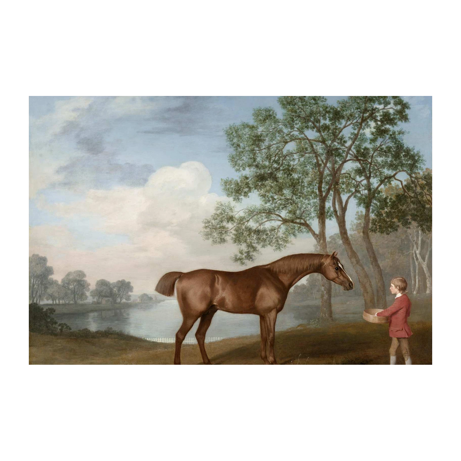 Noble Equine Serenity: Horse & Boy Wall Art