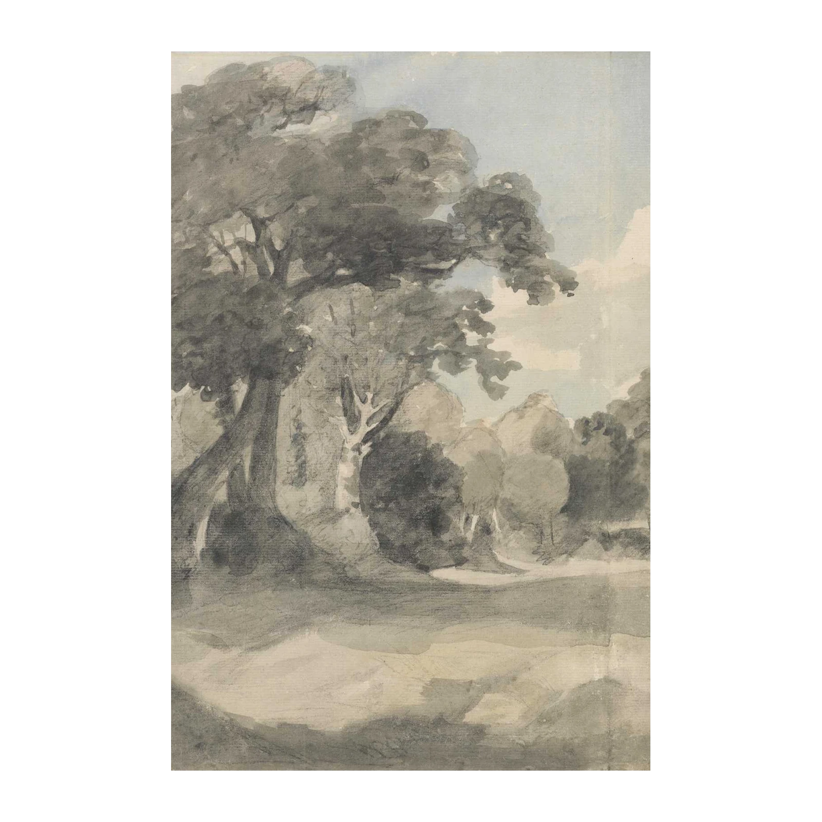 Serene Woodland Landscape Sketch Wall Art