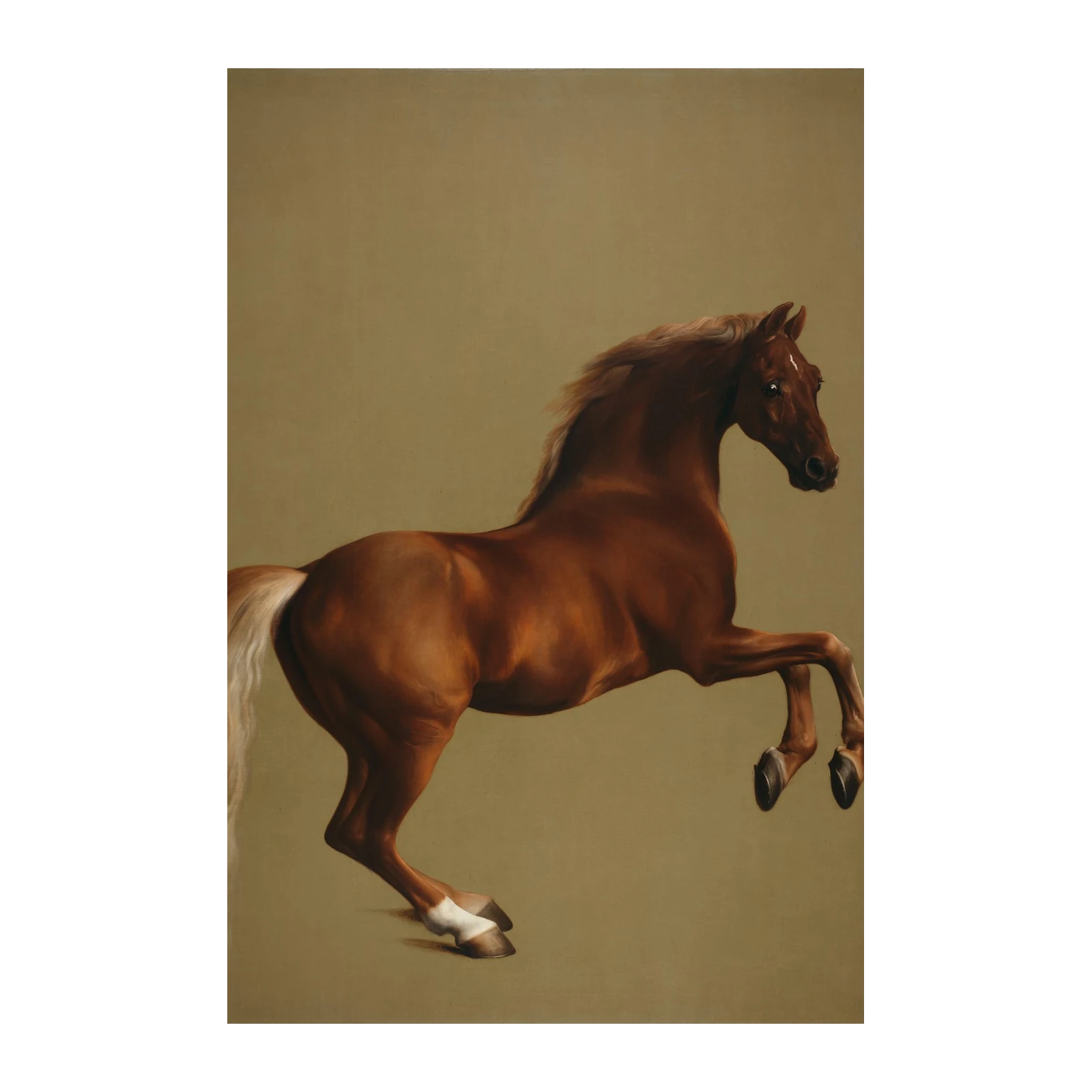 Majestic Chestnut Horse Rearing Wall Art