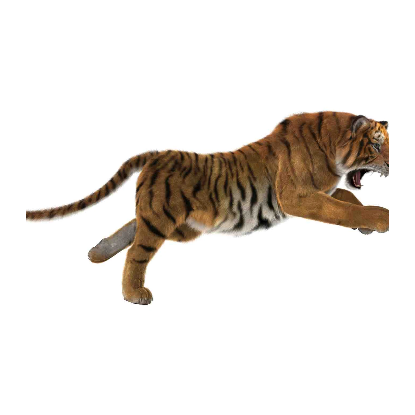 Majestic Tiger Roar Wall Art