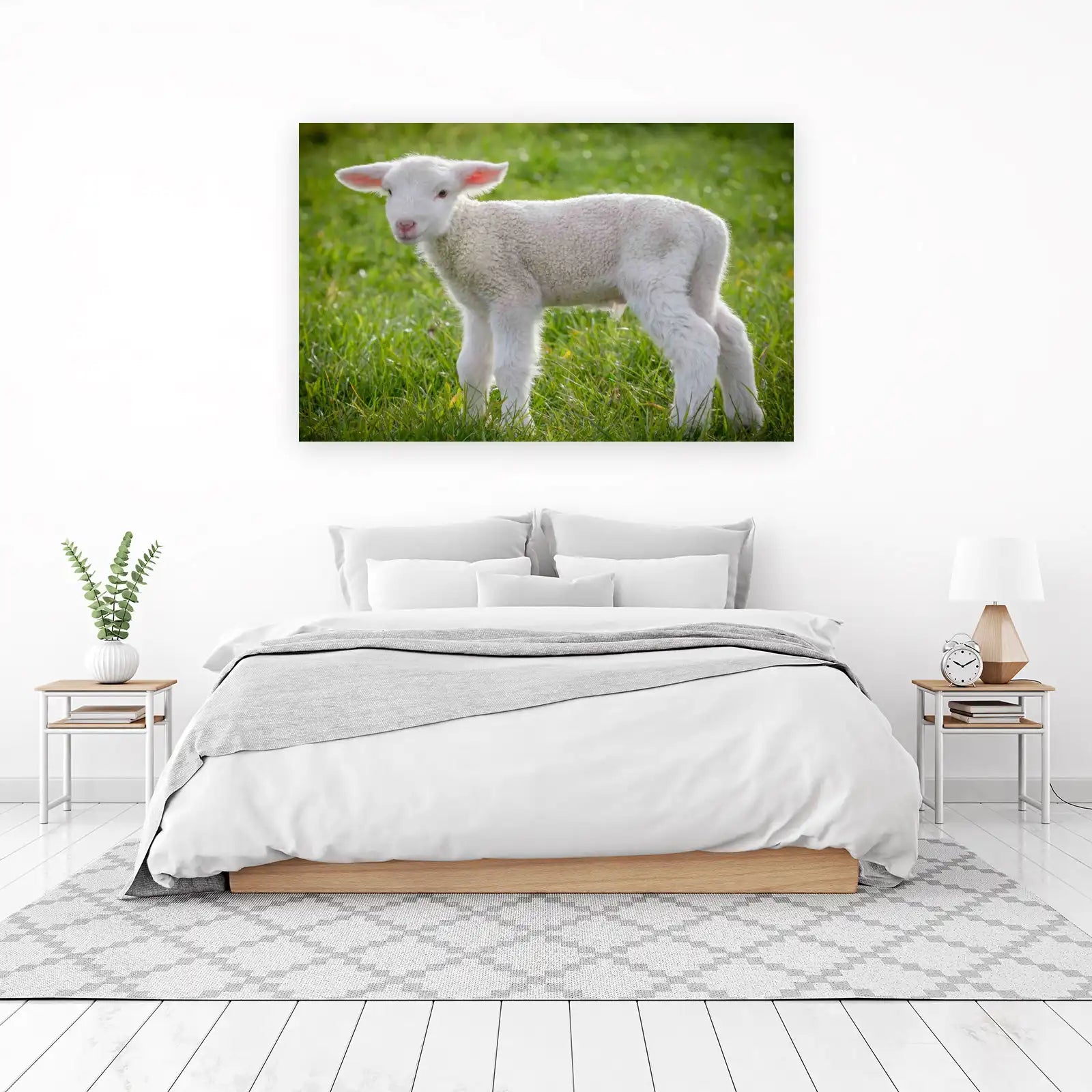 Adorable Lamb in Field Wall Art