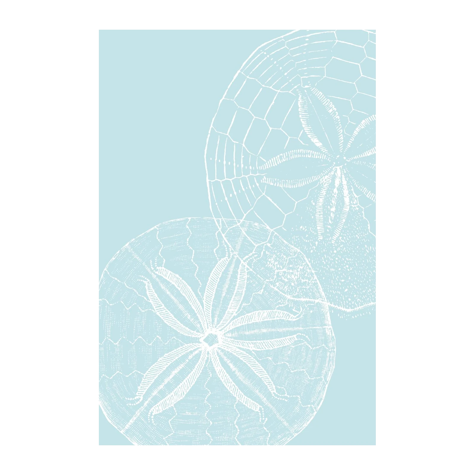 Serene Sand Dollar Duo Coastal Wall Art