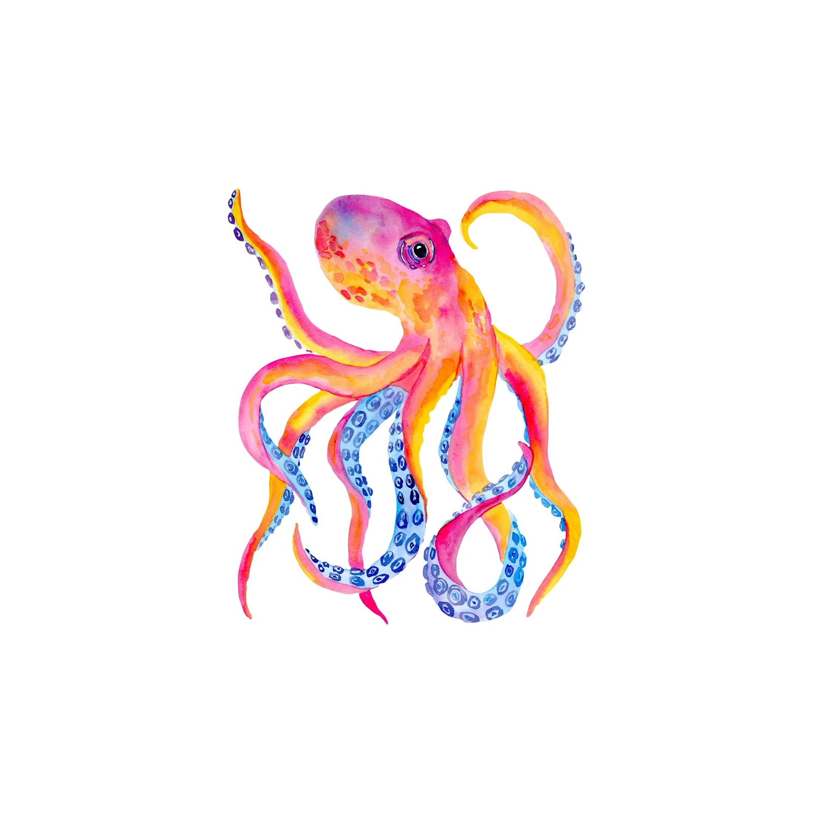 Vibrant Watercolor Octopus Wall Art Wall Art