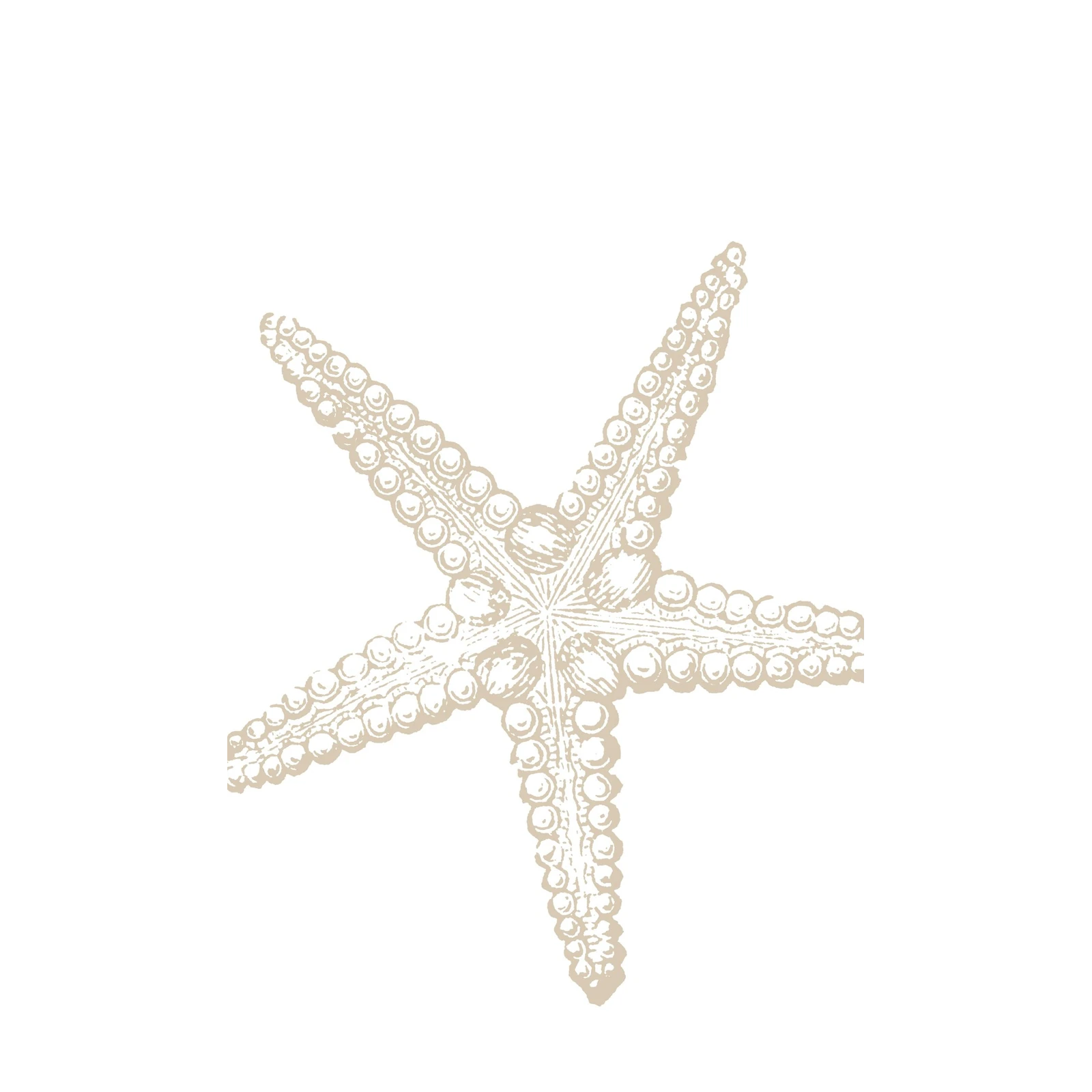 Vintage Starfish Beach Art Wall Art