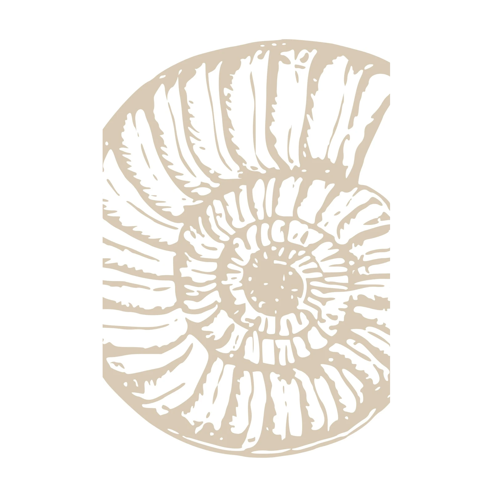 Elegant Ammonite Fossil Wall Art