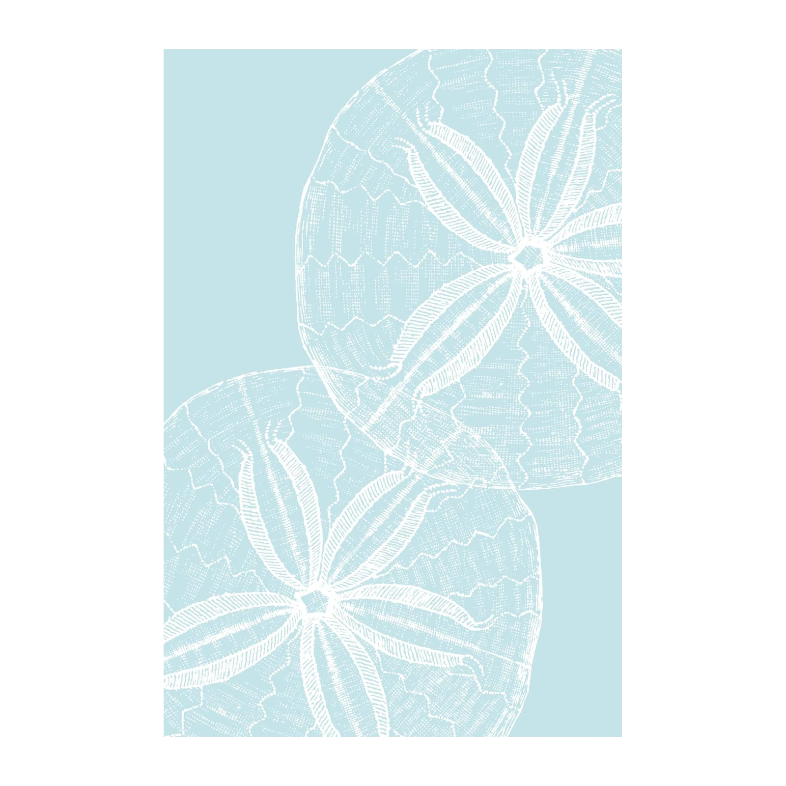 Serene Sand Dollar Duo Coastal Wall Art