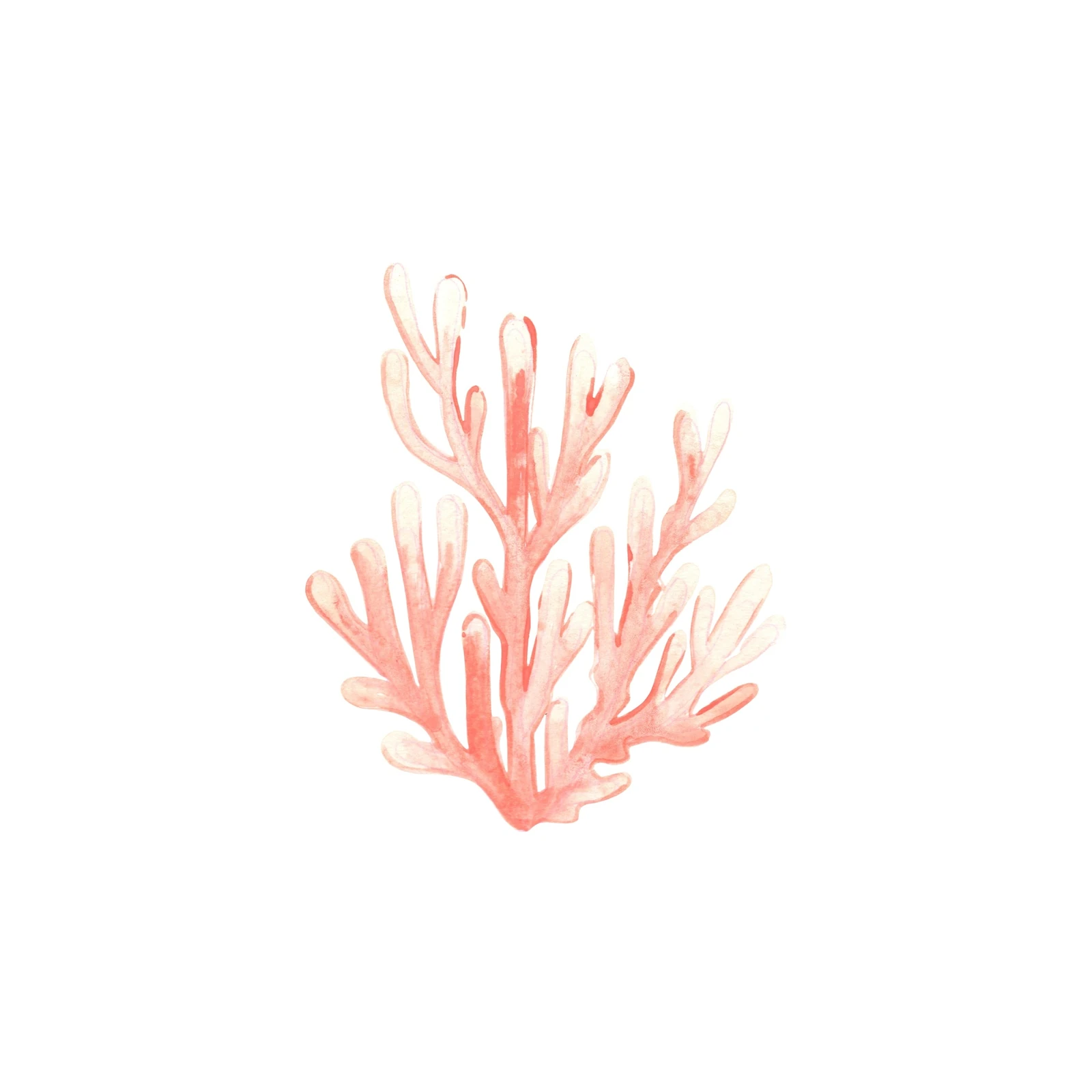 Coral Dream Watercolor Coastal Wall Art
